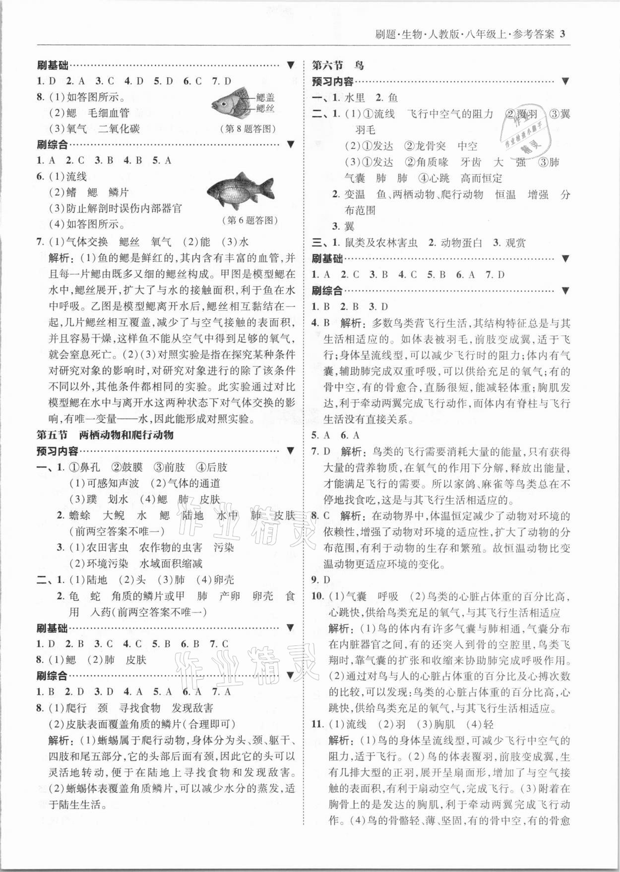 2020年北大綠卡刷題八年級(jí)生物上冊(cè)人教版 參考答案第3頁(yè)