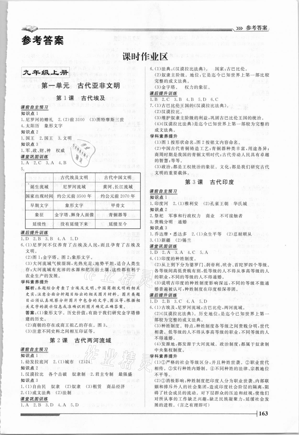 2020年標(biāo)準(zhǔn)課堂作業(yè)九年級歷史全一冊人教版 第1頁