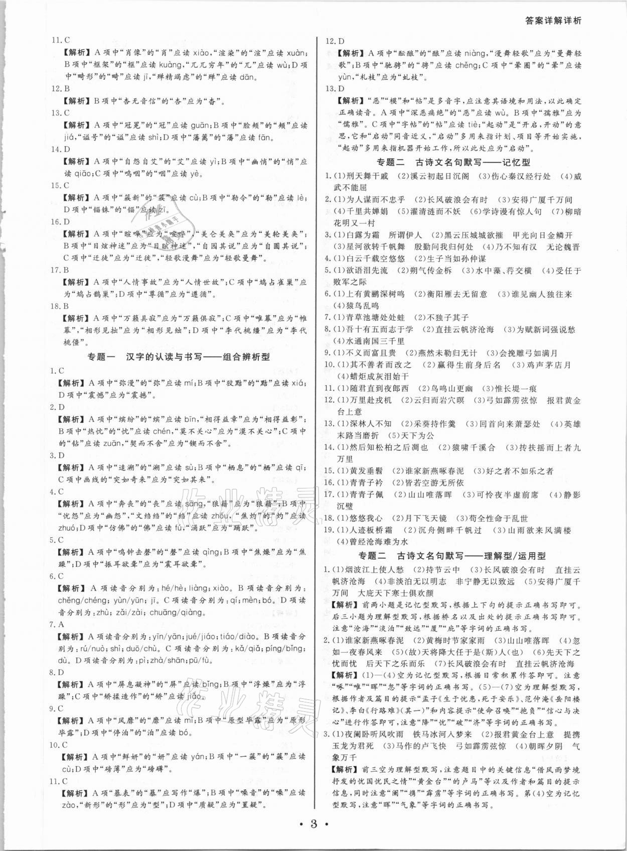 2021年浙派名師中考方略分類(lèi)集訓(xùn)語(yǔ)文中考人教版浙江專(zhuān)版 第3頁(yè)