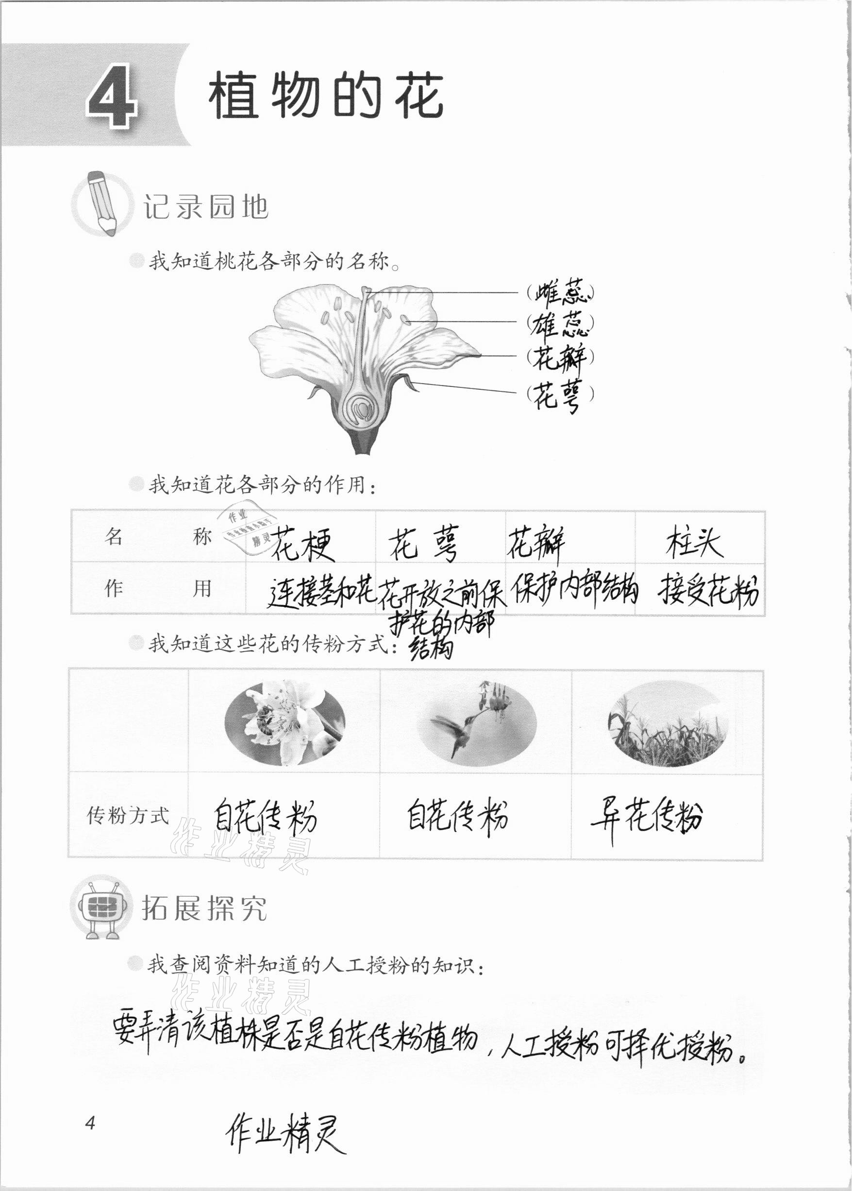 2020年科學學生活動手冊三年級上冊青島版54制 參考答案第4頁