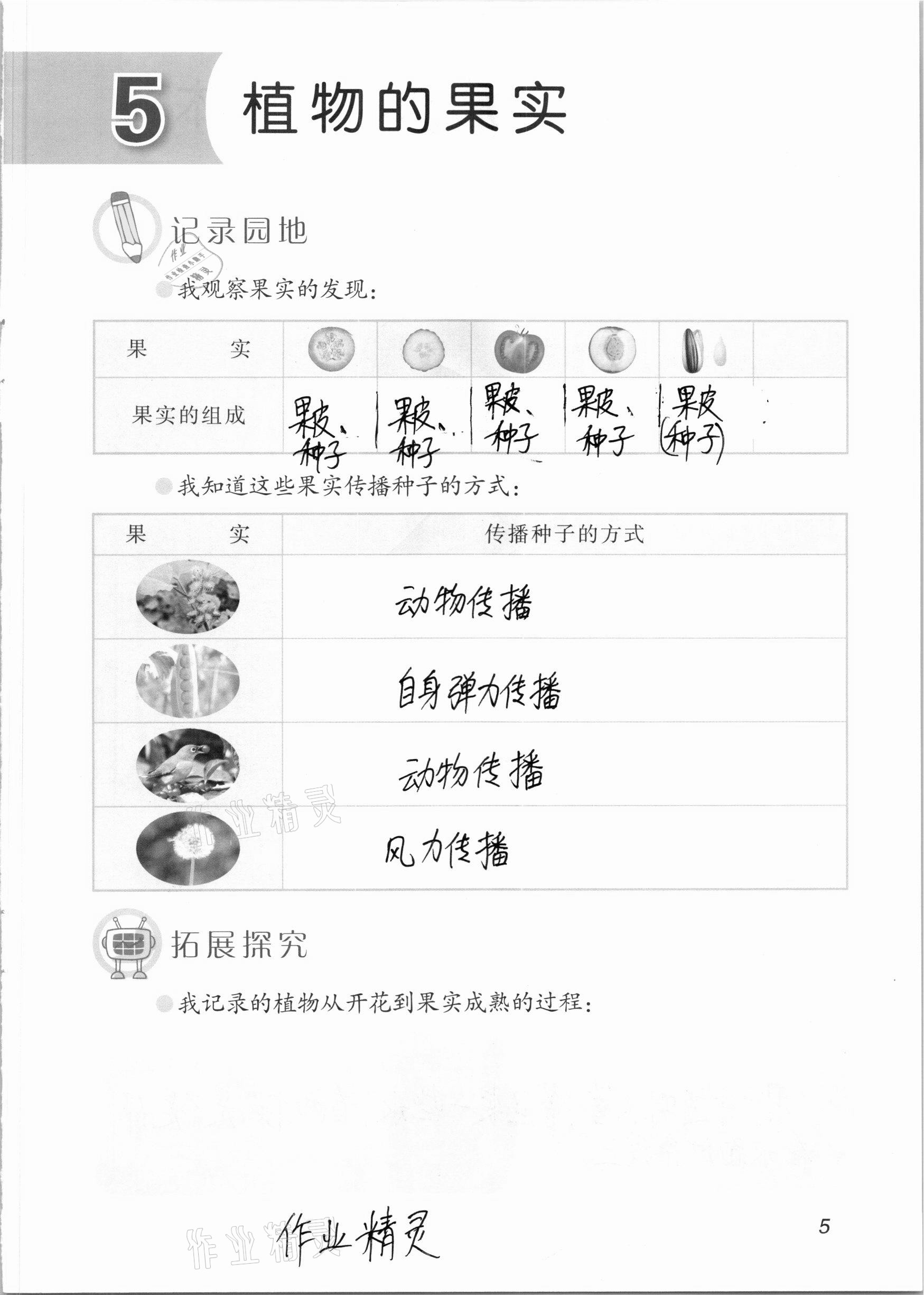 2020年科學(xué)學(xué)生活動(dòng)手冊(cè)三年級(jí)上冊(cè)青島版54制 參考答案第5頁