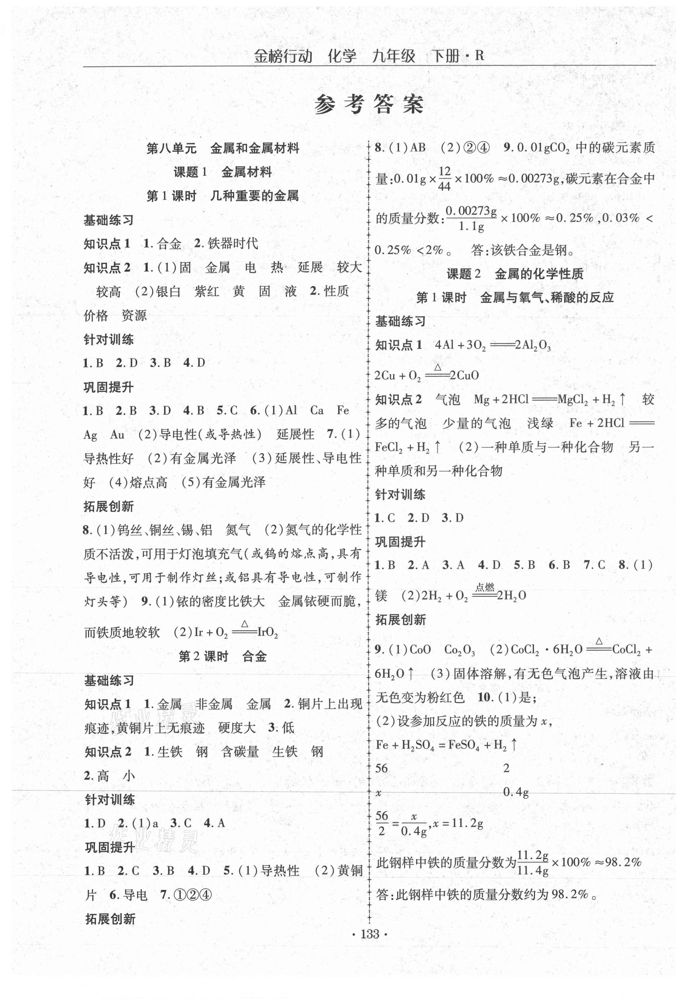 2021年金榜行动九年级化学下册人教版 第1页