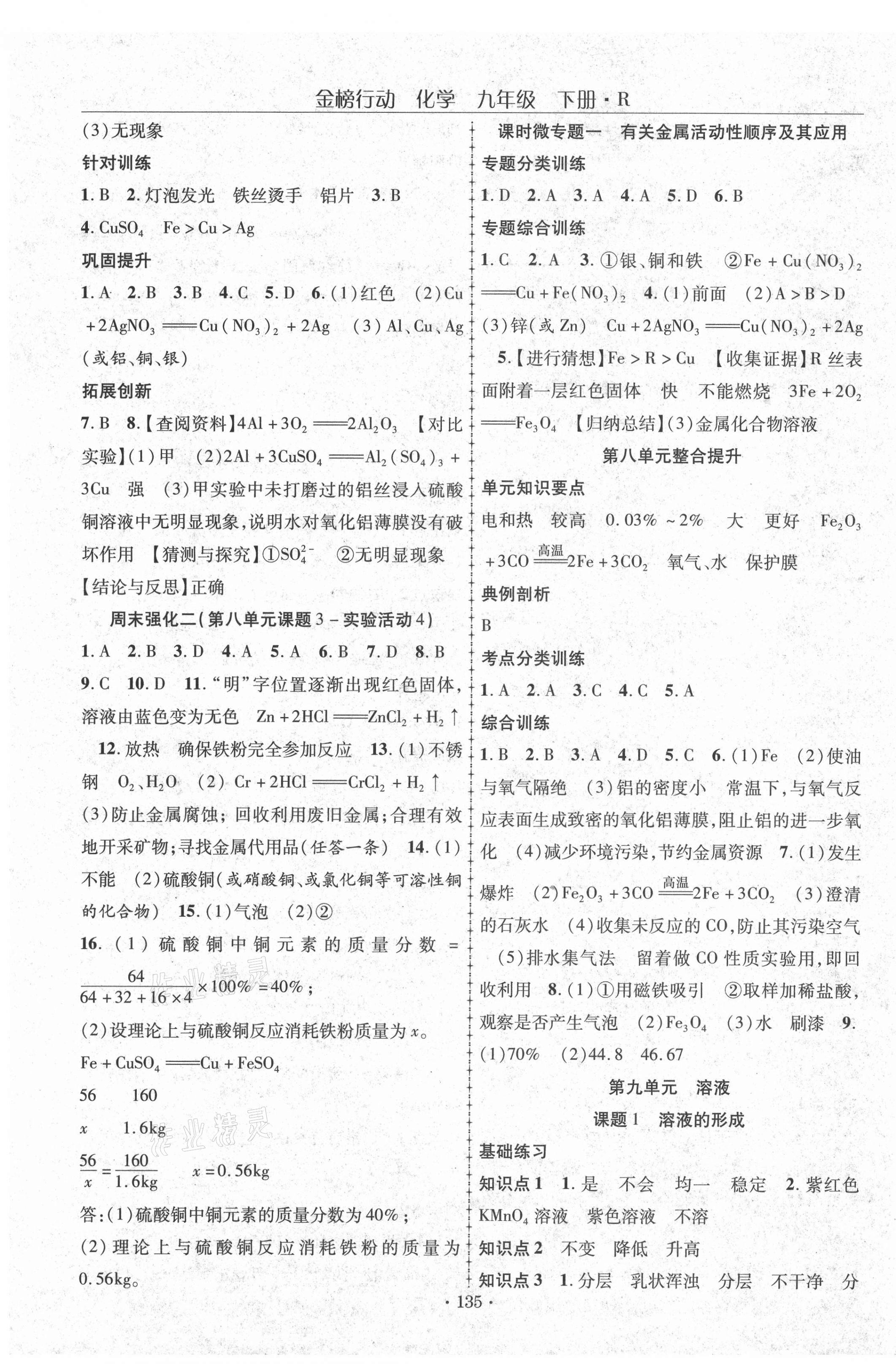 2021年金榜行動九年級化學(xué)下冊人教版 第3頁