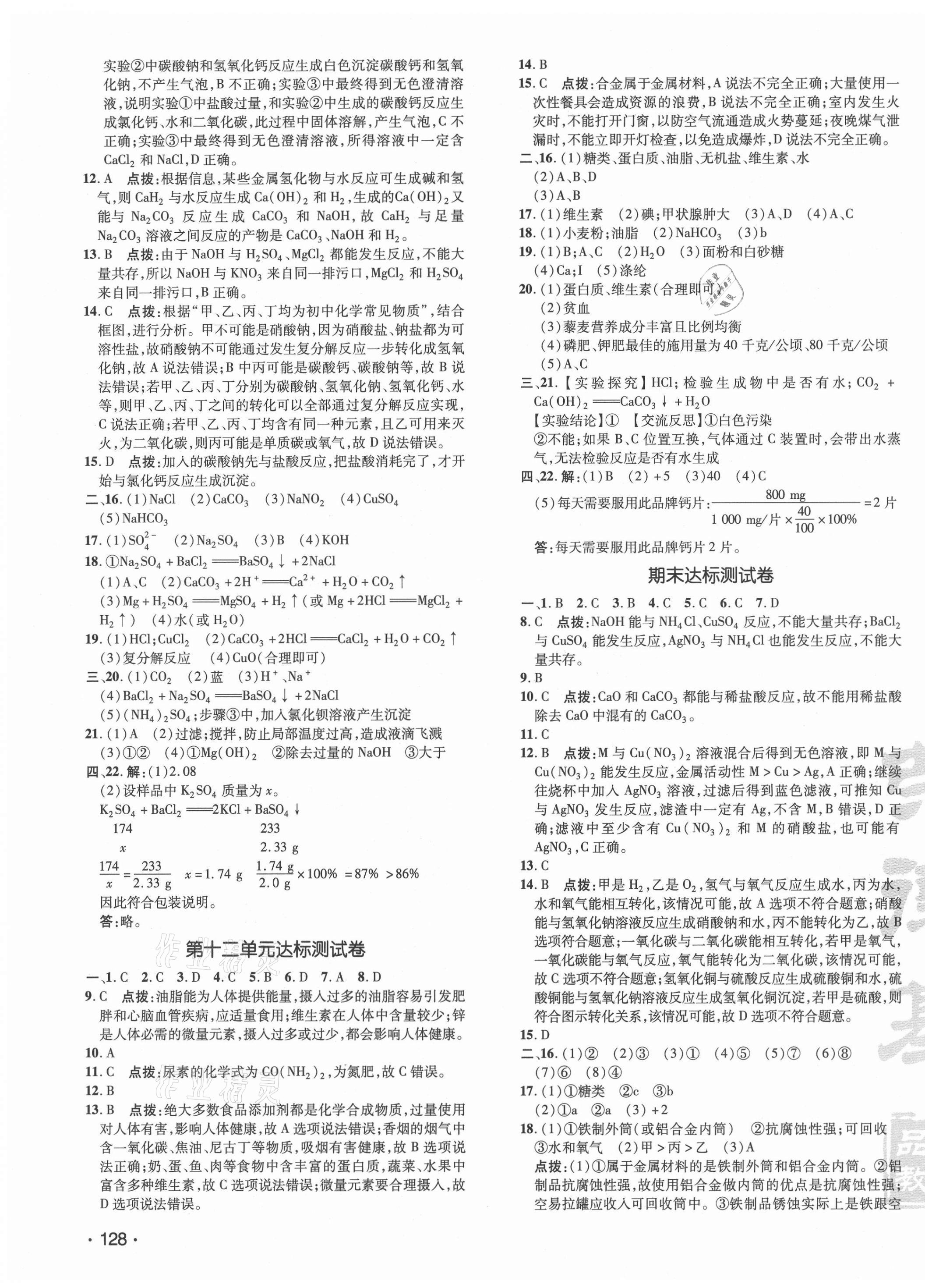 2021年點撥訓(xùn)練九年級化學(xué)下冊人教版 參考答案第3頁