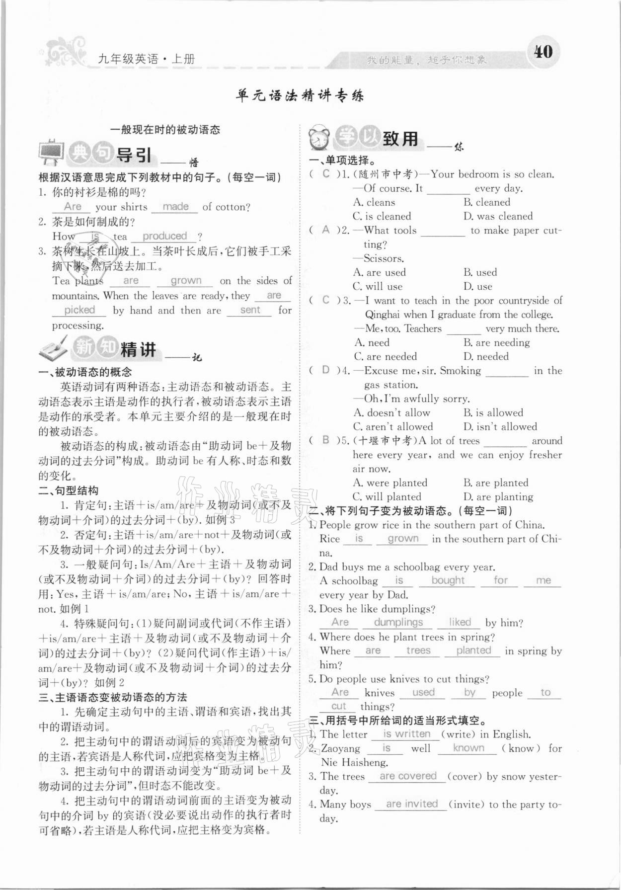 2020年課堂點(diǎn)睛九年級(jí)英語上冊(cè)人教版河北專版 參考答案第40頁