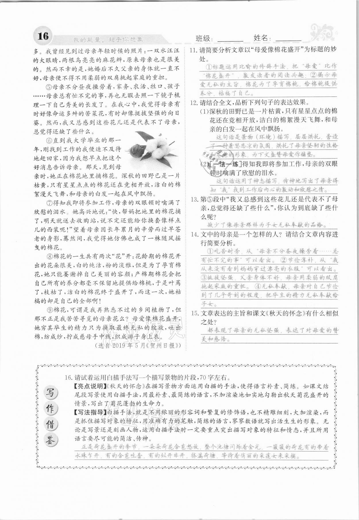 2020年課堂點(diǎn)睛七年級(jí)語(yǔ)文上冊(cè)人教版河北專(zhuān)版 參考答案第16頁(yè)