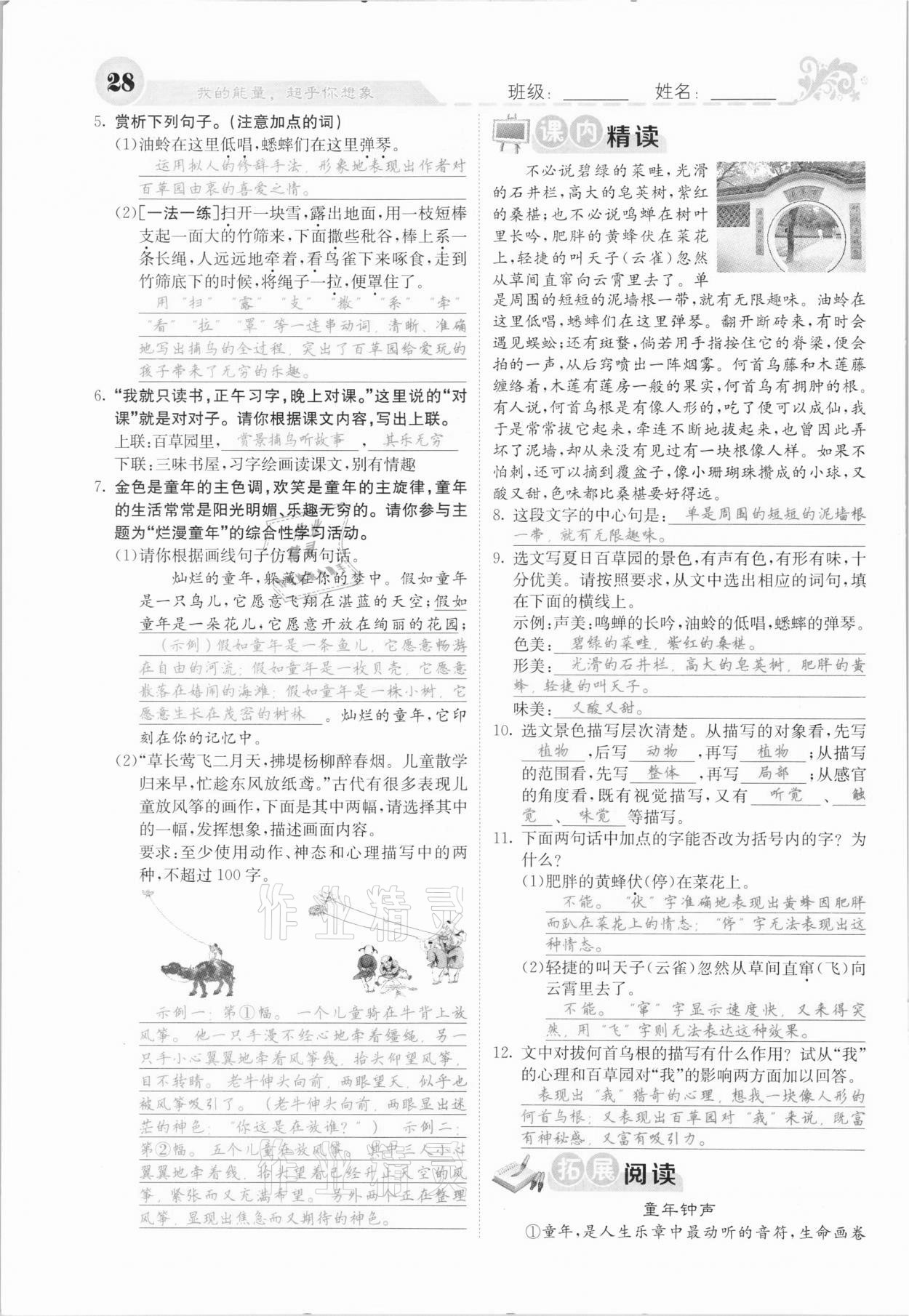 2020年課堂點睛七年級語文上冊人教版河北專版 參考答案第28頁