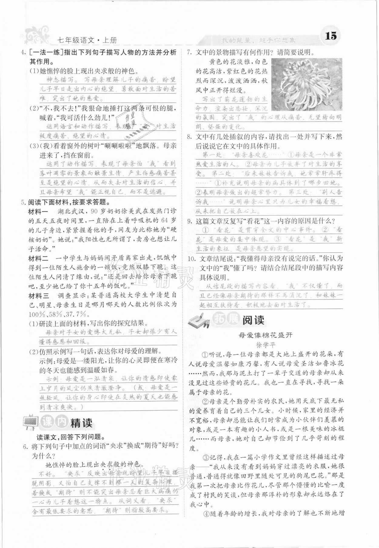 2020年課堂點睛七年級語文上冊人教版河北專版 參考答案第15頁