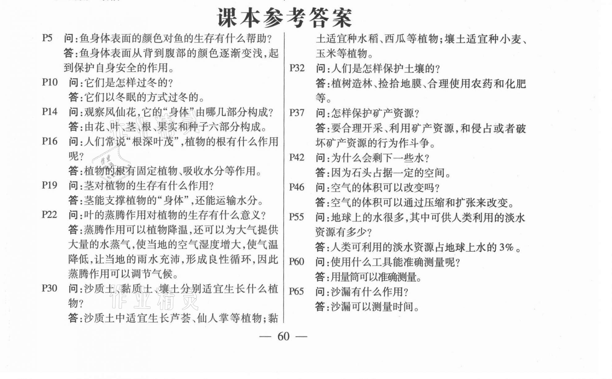 2020年教材課本三年級科學上冊青島版 參考答案第1頁