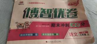 2020年博智優(yōu)卷六年級(jí)語(yǔ)文上冊(cè)部編版
