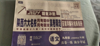 2020年初中畢業升學真題詳解九年級語文上冊人教版陜西專版
