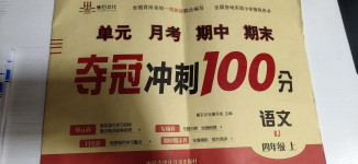 2020年奪冠沖刺100分四年級語文上冊人教版