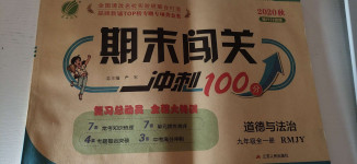 2020年期末闖關(guān)沖刺100分九年級道德與法治全一冊人教版