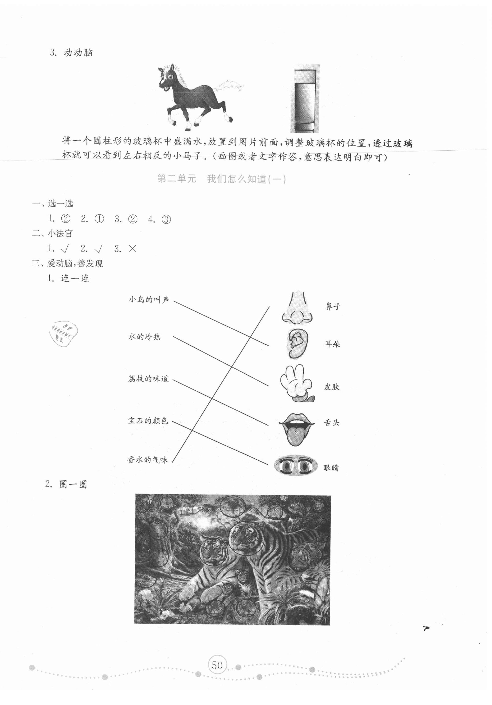 2020年小學(xué)科學(xué)試卷金鑰匙一年級上冊青島版金版 第2頁