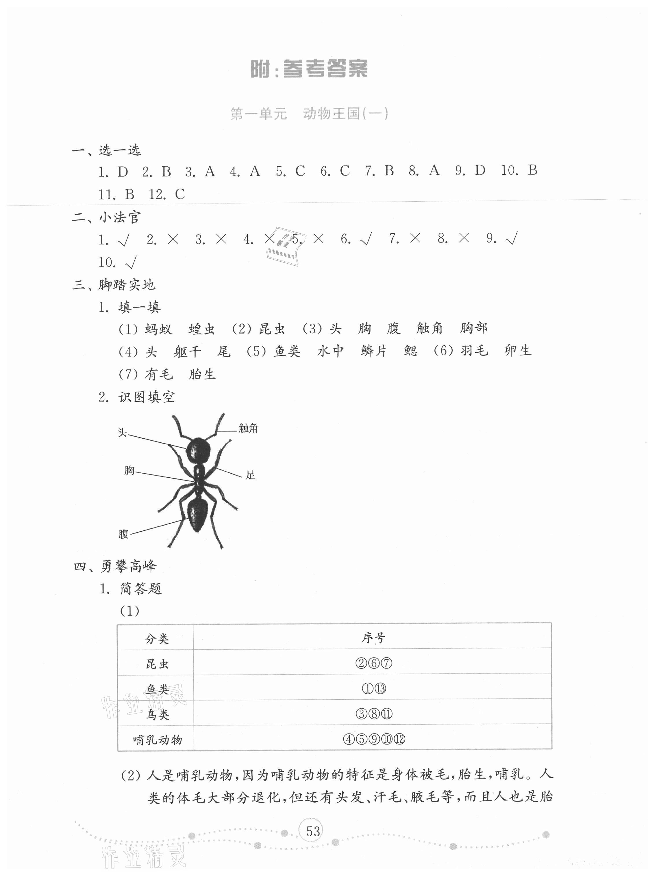 2020年小學(xué)科學(xué)試卷金鑰匙四年級(jí)上冊青島版金版 第1頁