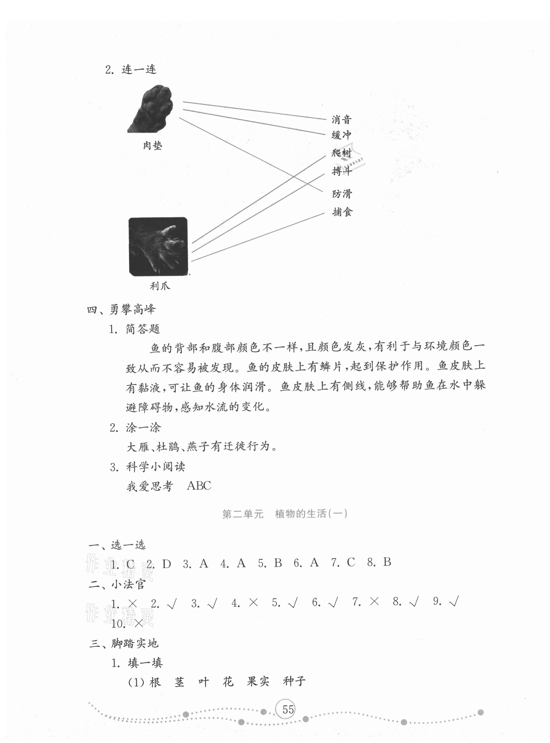 2020年小學(xué)科學(xué)試卷金鑰匙三年級上冊青島版金版 第3頁