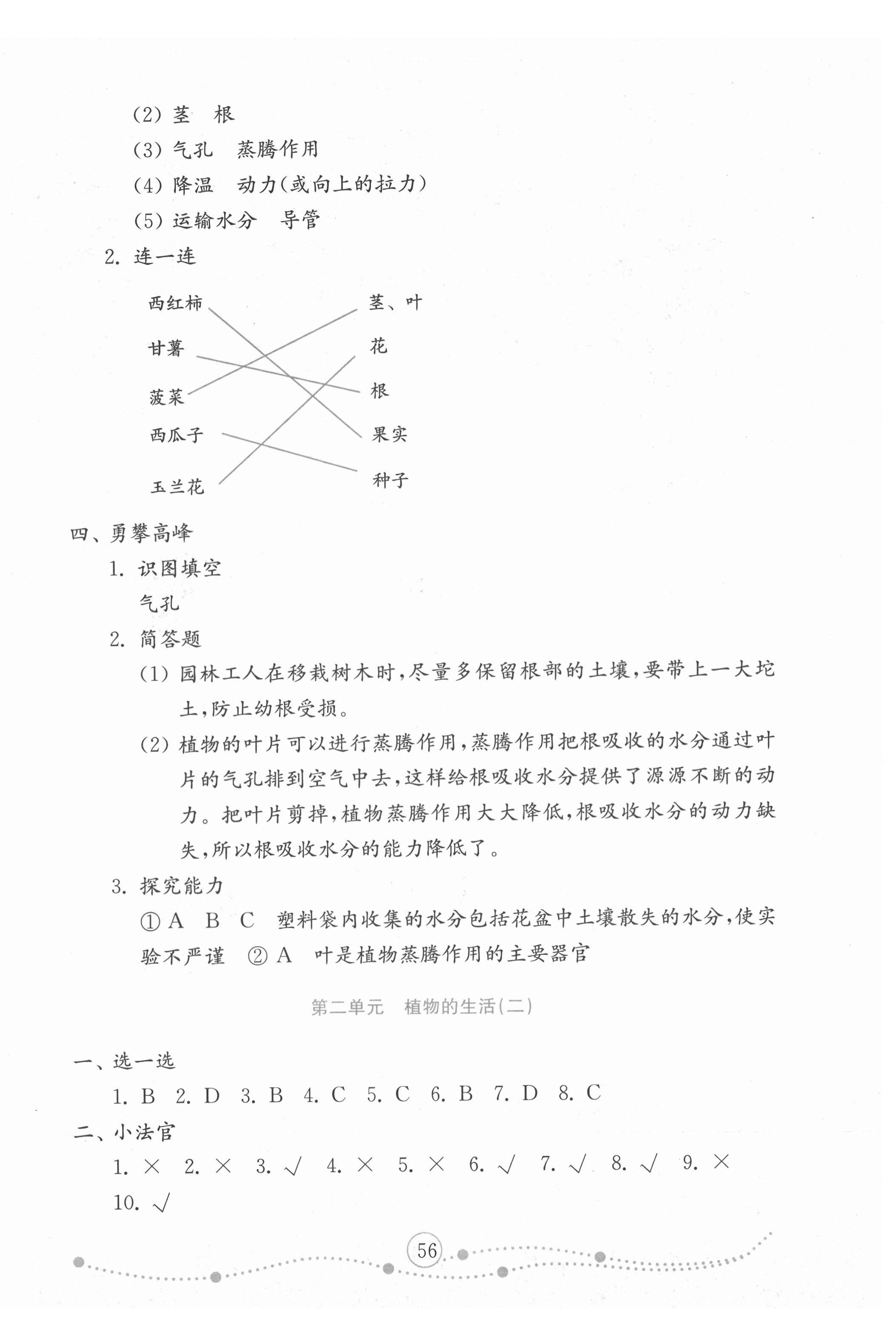 2020年小學(xué)科學(xué)試卷金鑰匙三年級(jí)上冊(cè)青島版金版 第4頁