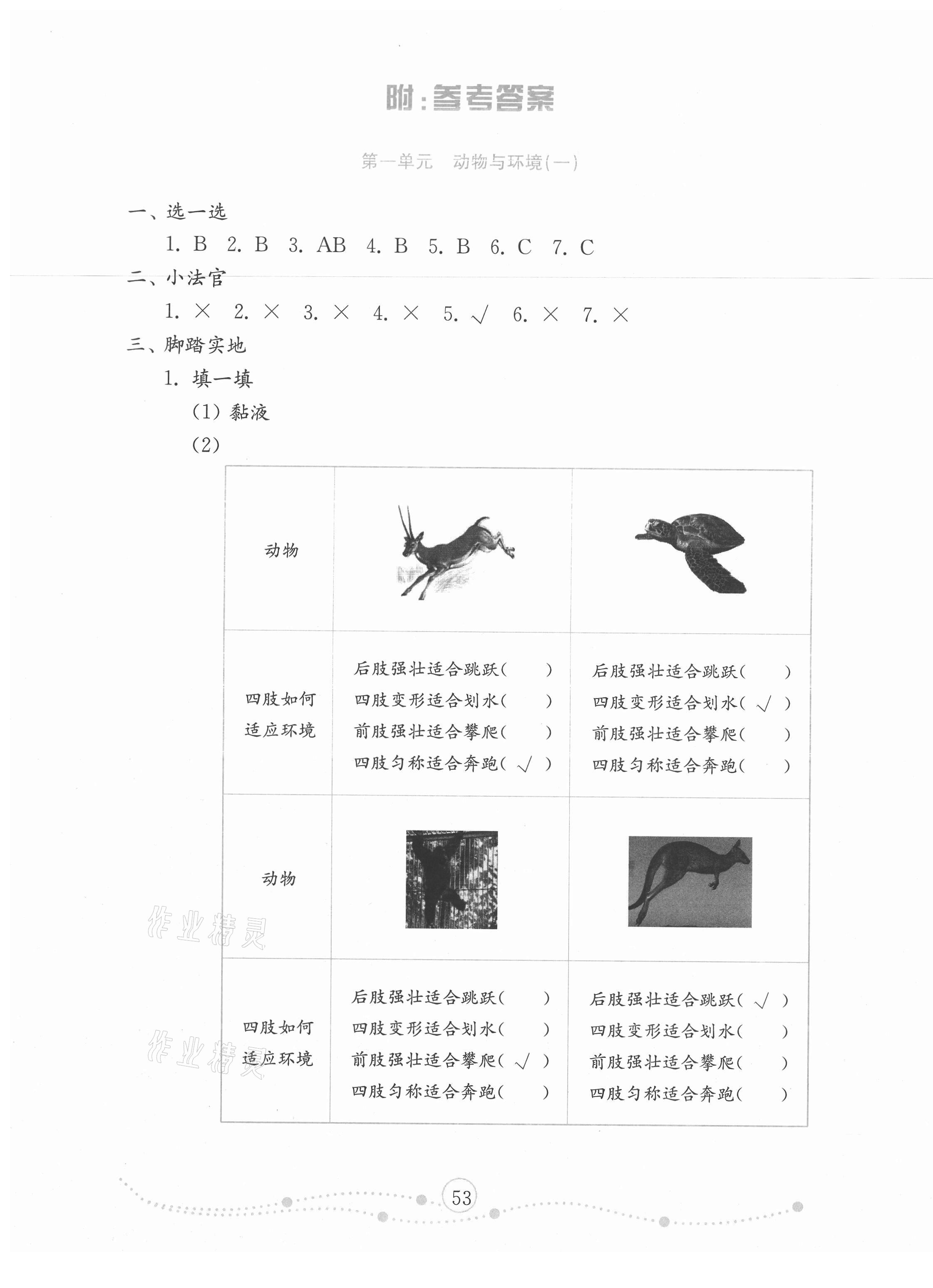 2020年小学科学试卷金钥匙三年级上册青岛版金版 第1页