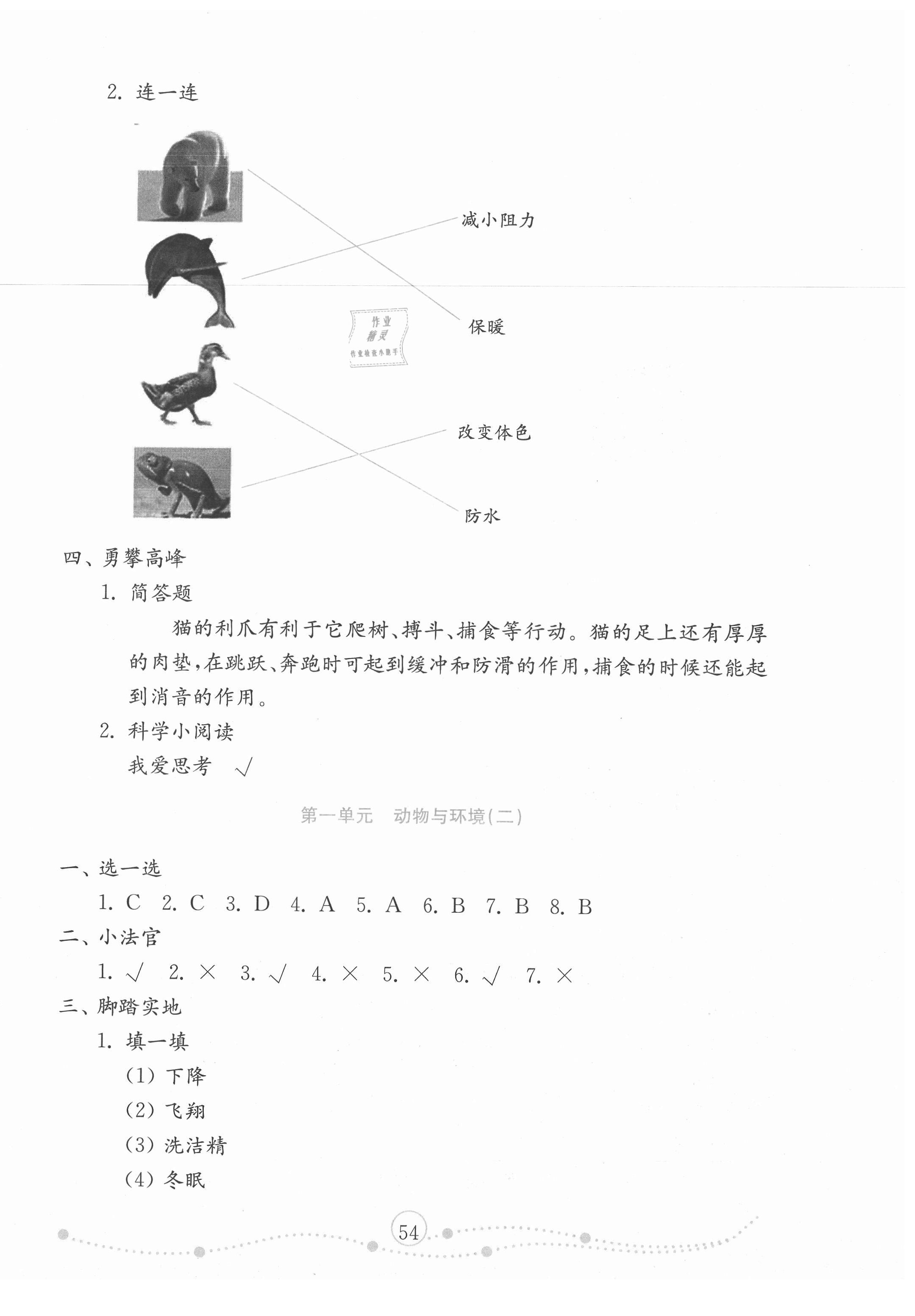 2020年小学科学试卷金钥匙三年级上册青岛版金版 第2页