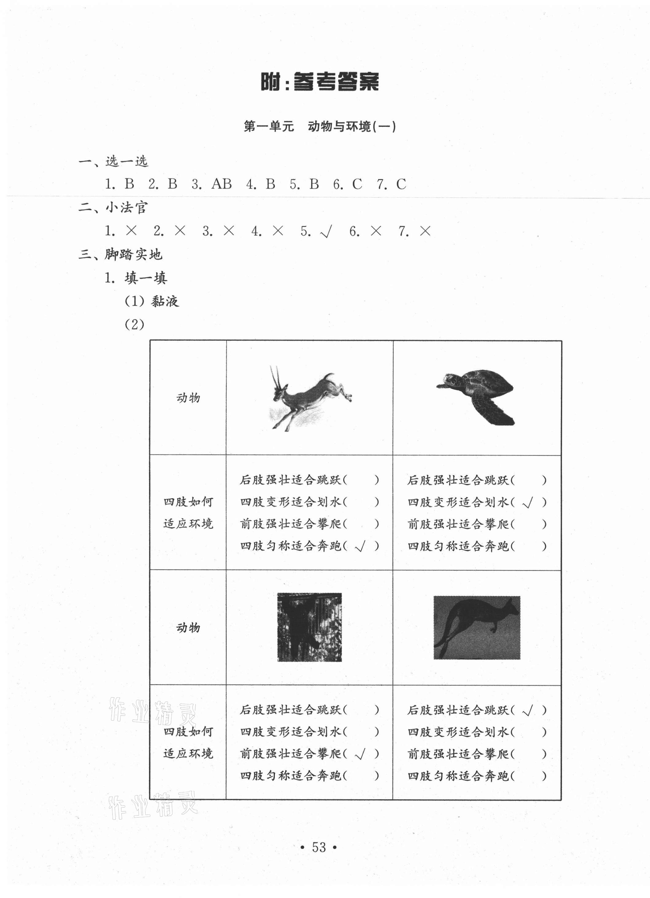 2020年小學(xué)科學(xué)試卷金鑰匙三年級上冊青島版 第1頁