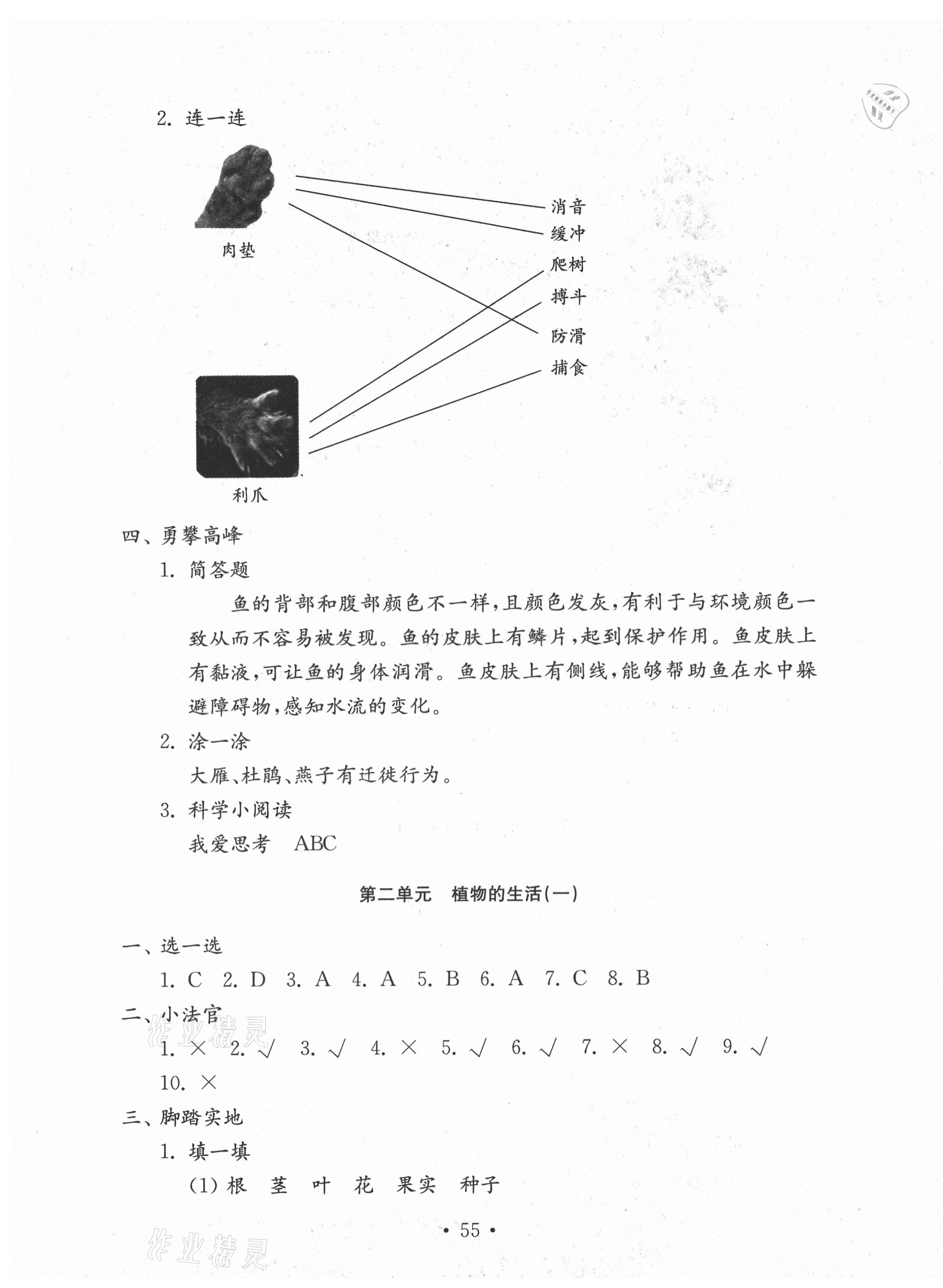 2020年小学科学试卷金钥匙三年级上册青岛版 第3页