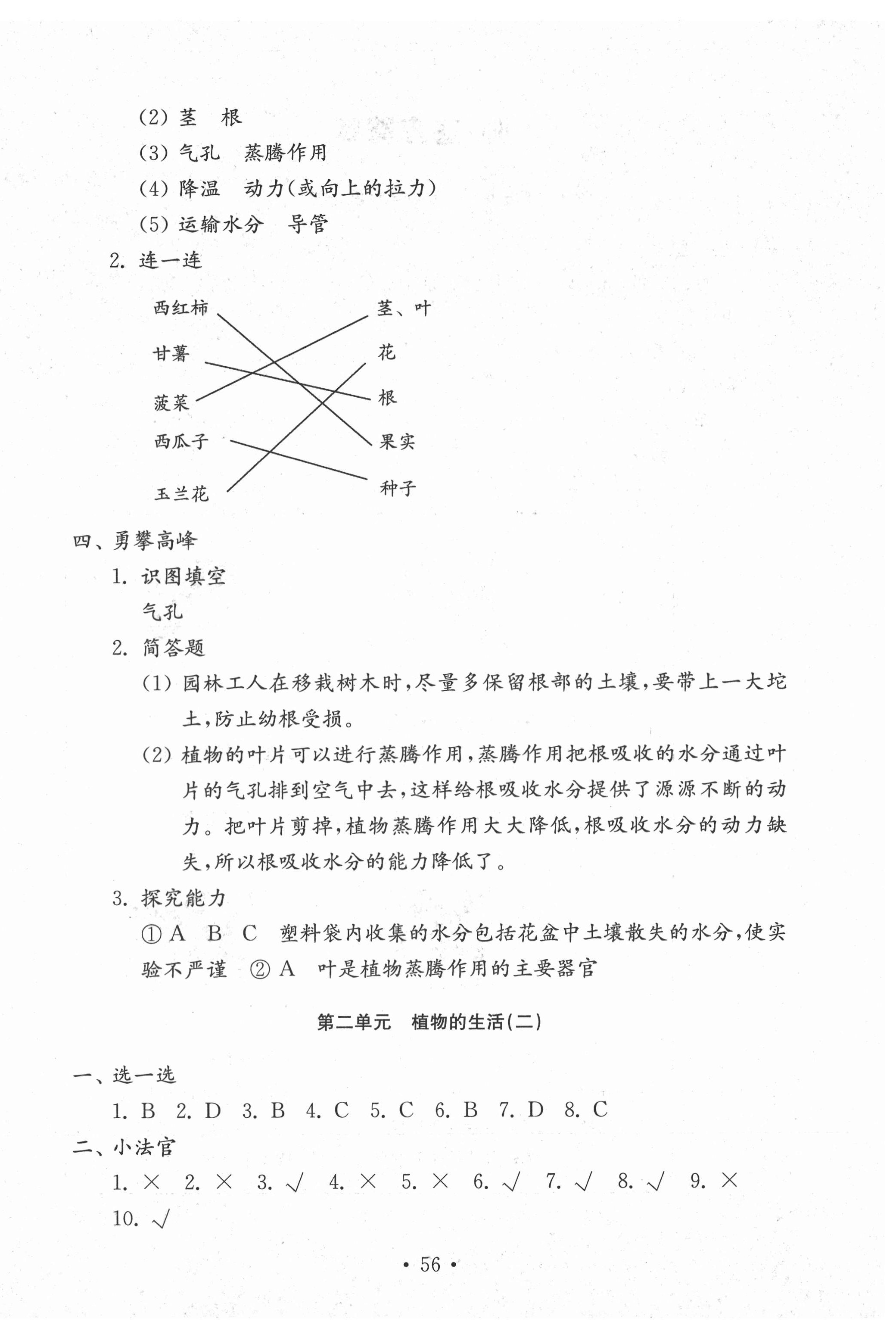 2020年小学科学试卷金钥匙三年级上册青岛版 第4页