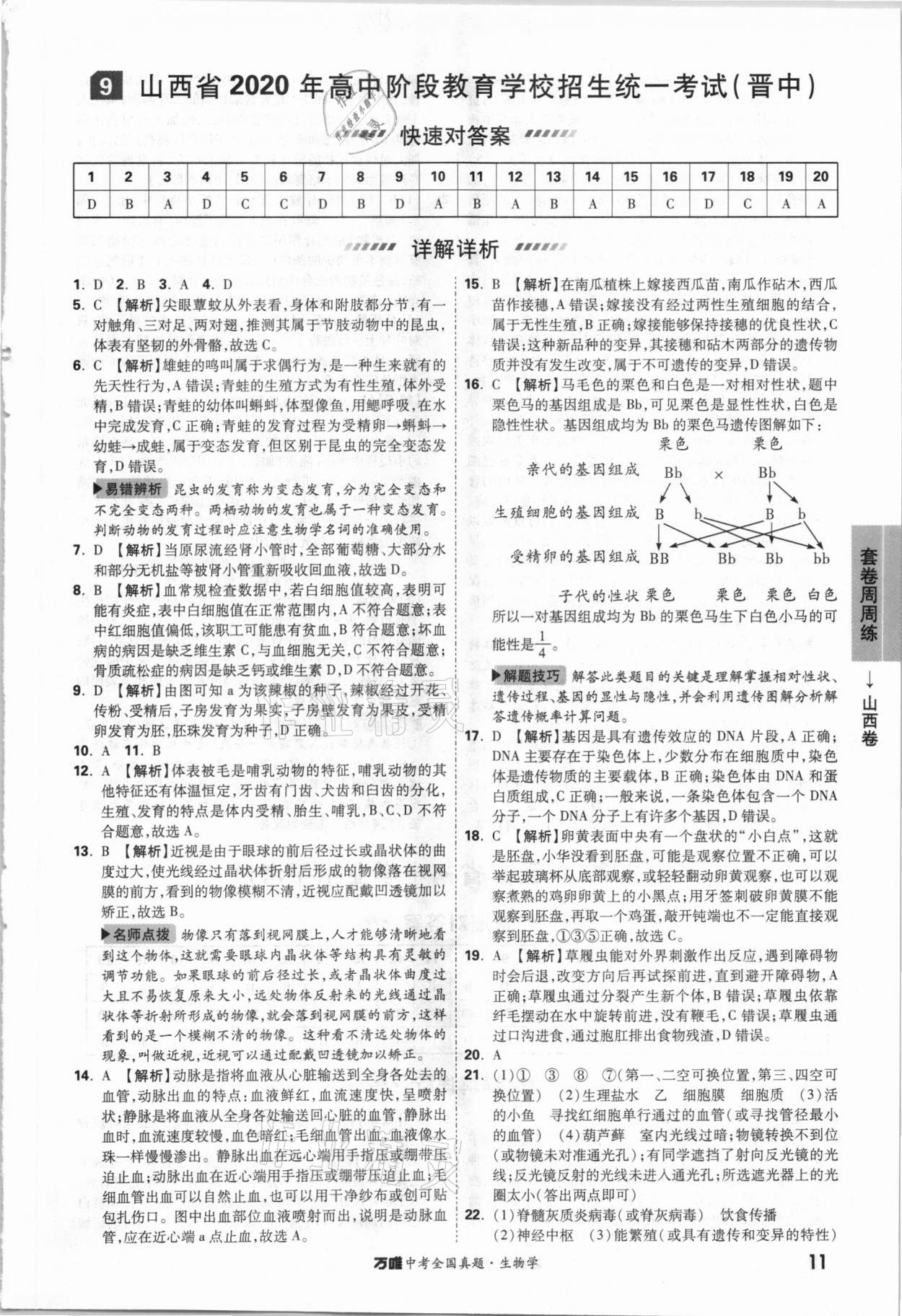 2021年萬唯中考全國真題生物學(xué) 參考答案第10頁