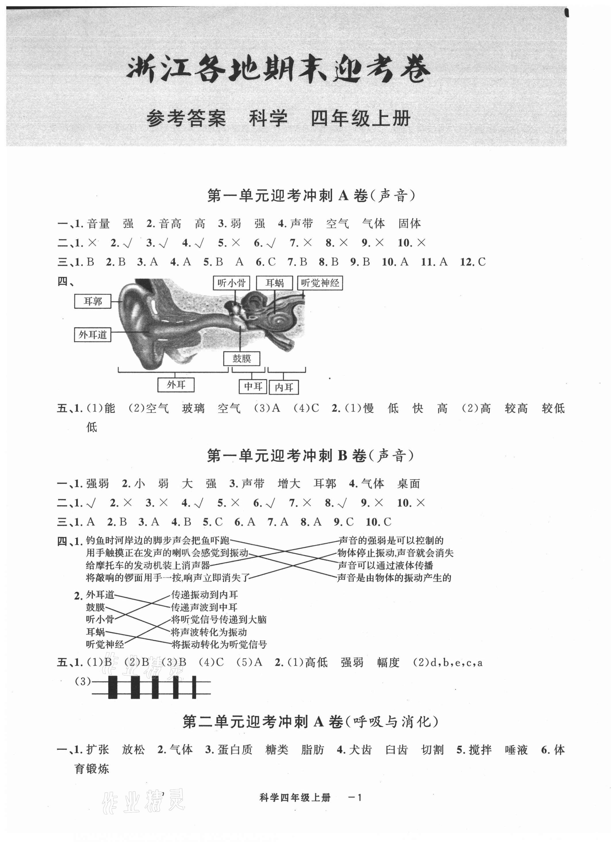 2020年浙江各地期末迎考卷四年級(jí)科學(xué)上冊(cè)教科版 第1頁