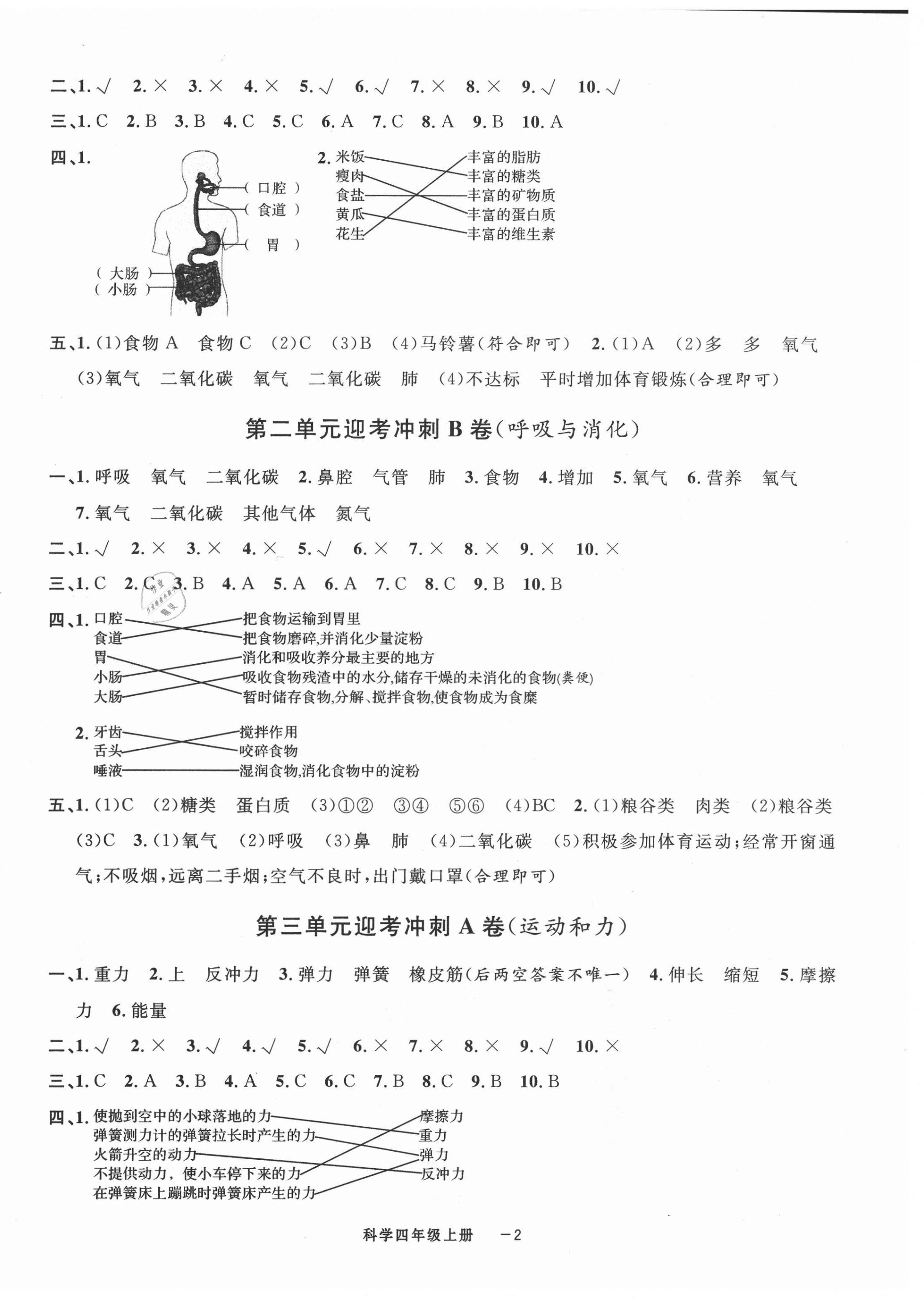 2020年浙江各地期末迎考卷四年級(jí)科學(xué)上冊(cè)教科版 第2頁(yè)