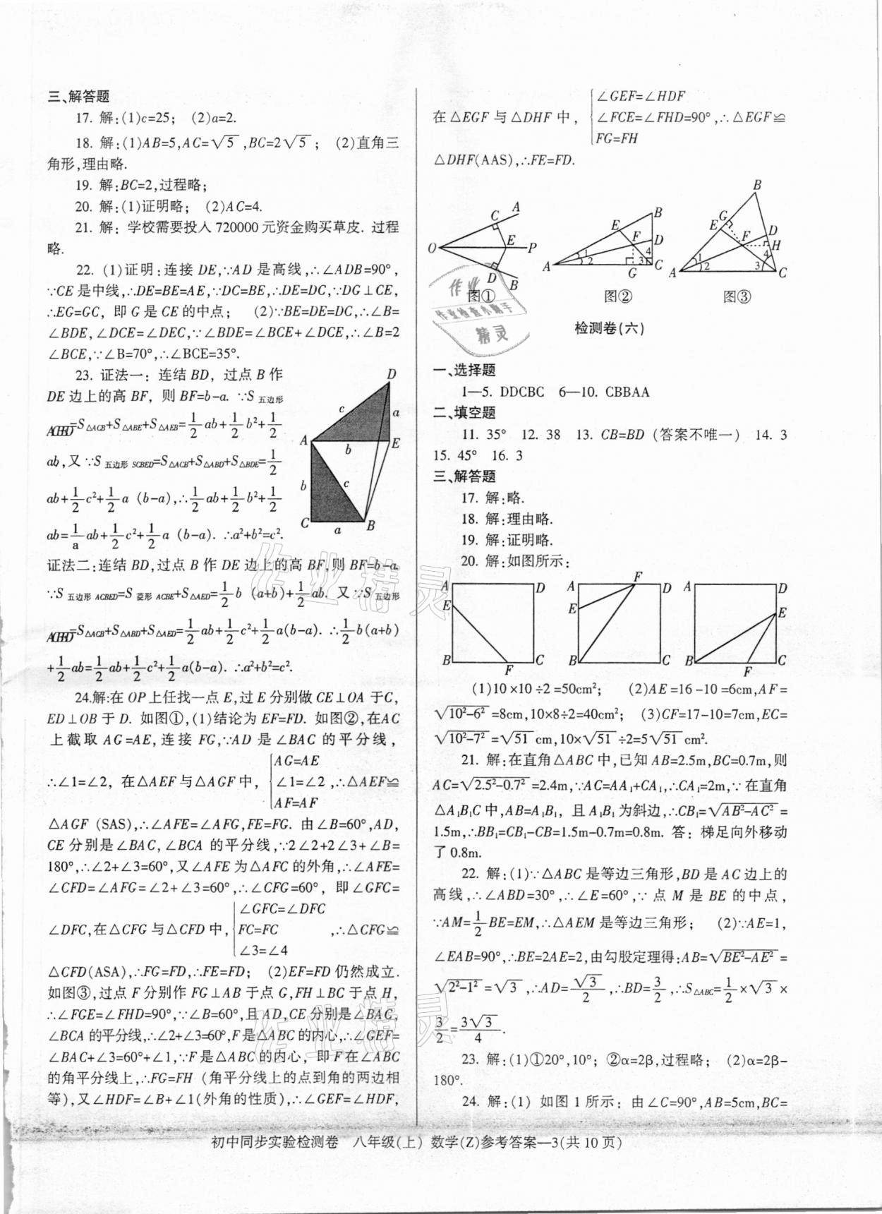 2020年初中同步实验检测卷八年级数学上册浙教版 第3页