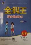 2021年全科王同步课时练习九年级化学下册人教版