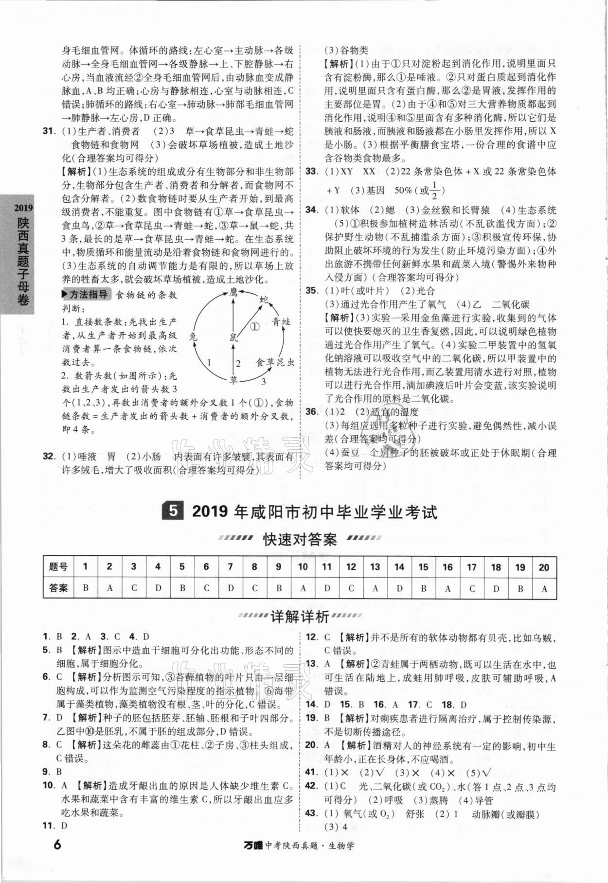 2021年萬唯中考陜西真題生物學(xué) 參考答案第5頁