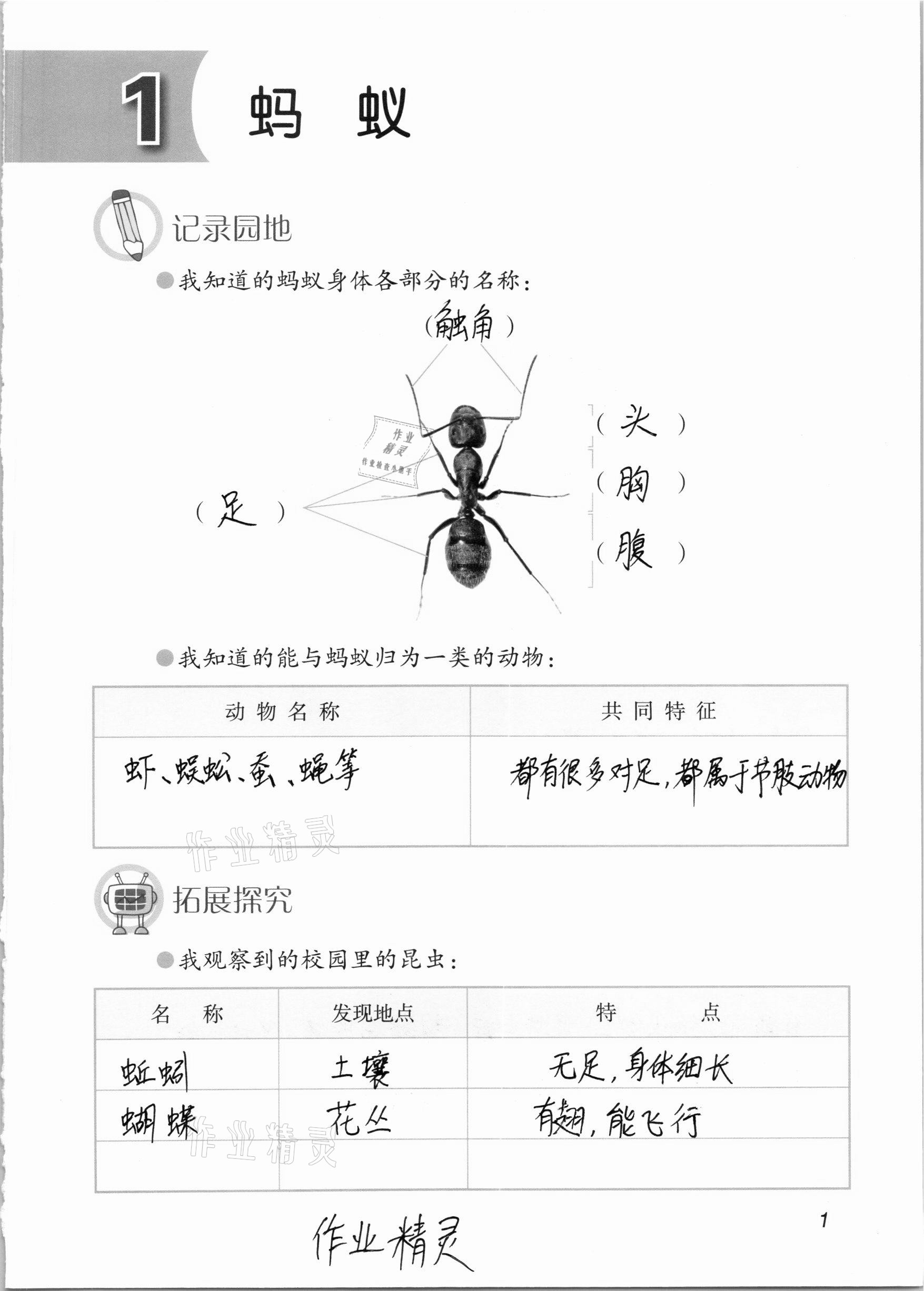 2020年學(xué)生活動手冊四年級科學(xué)上冊青島版54制 參考答案第1頁