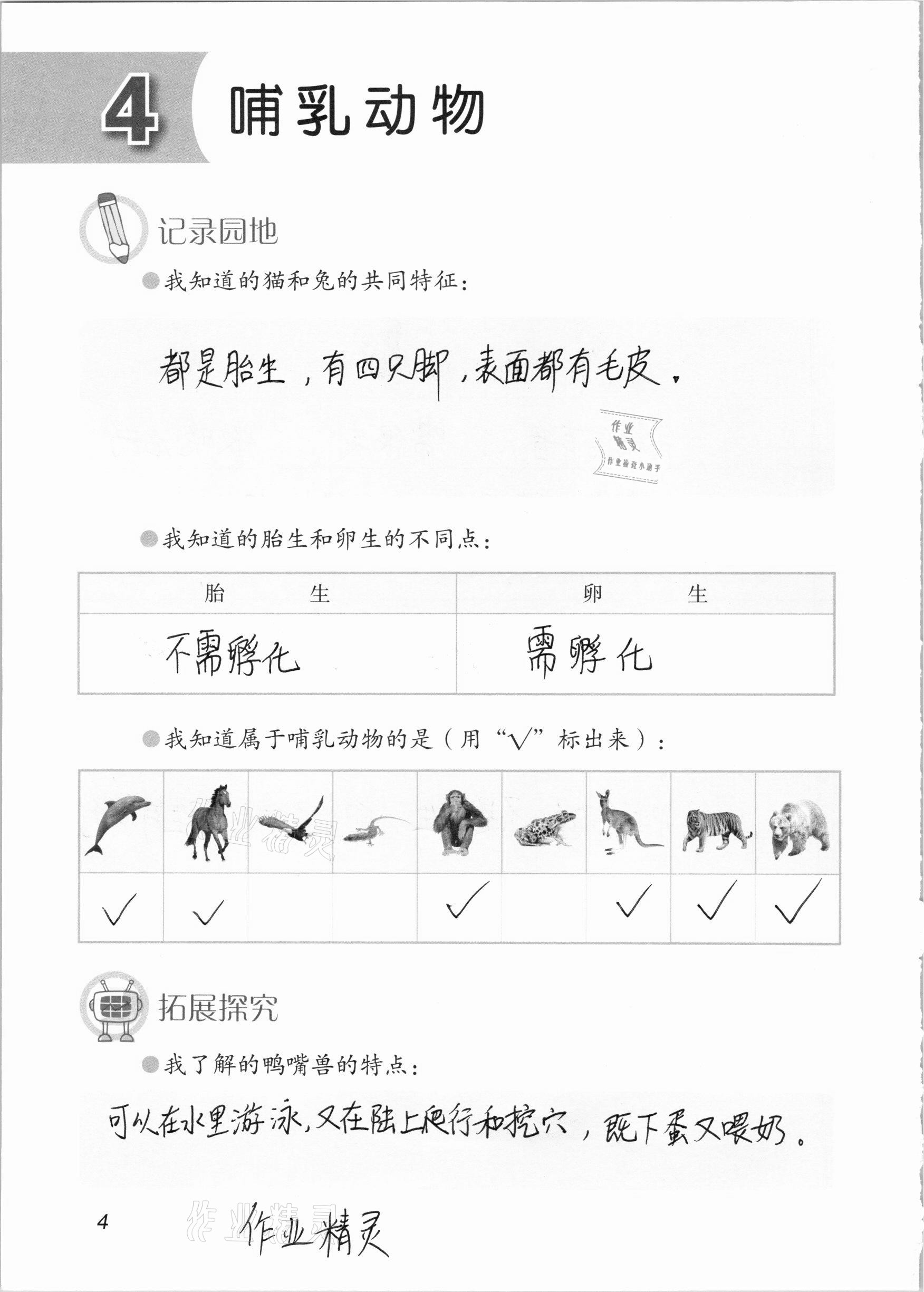 2020年學(xué)生活動手冊四年級科學(xué)上冊青島版54制 參考答案第4頁