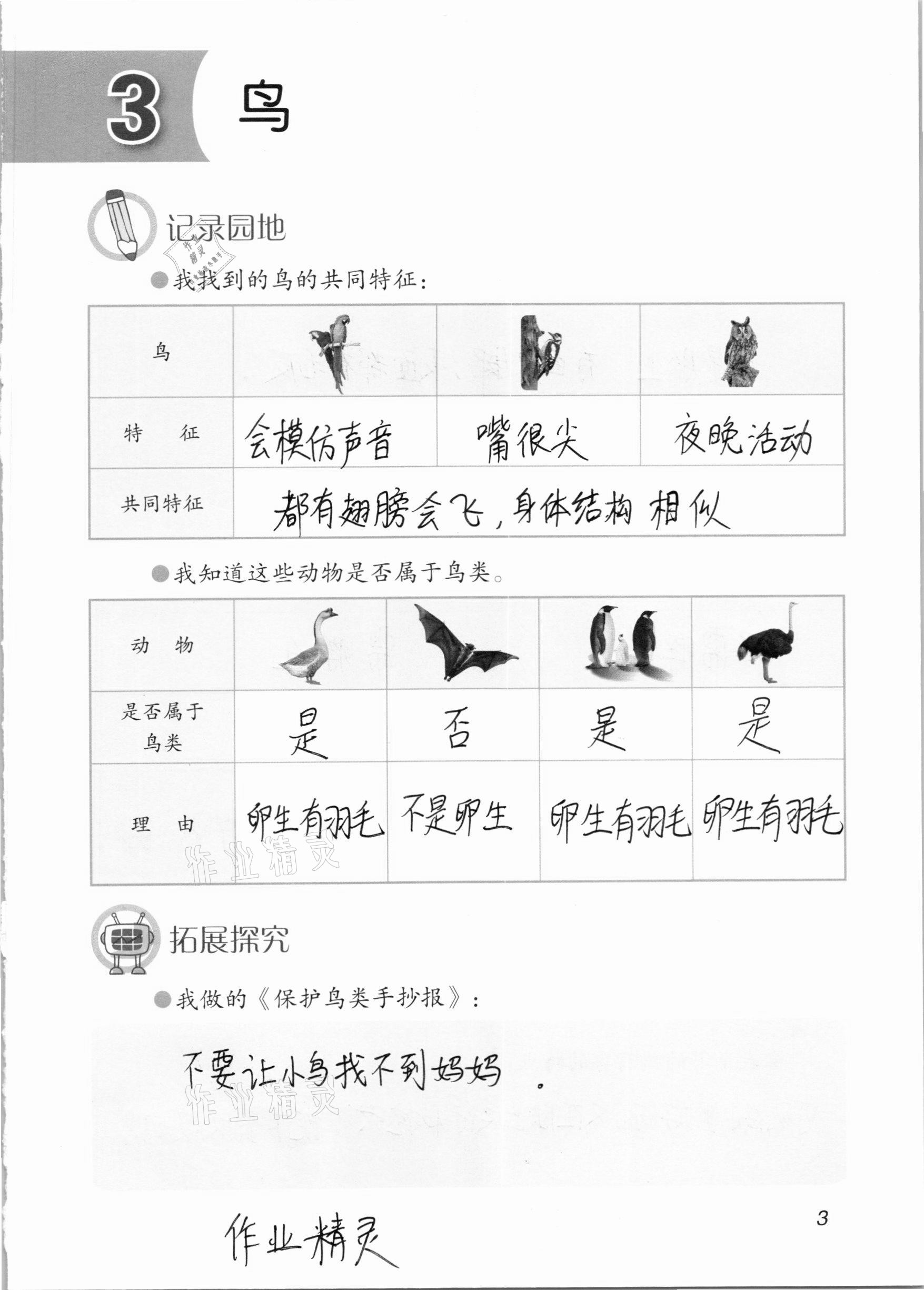 2020年學(xué)生活動(dòng)手冊(cè)四年級(jí)科學(xué)上冊(cè)青島版54制 參考答案第3頁(yè)