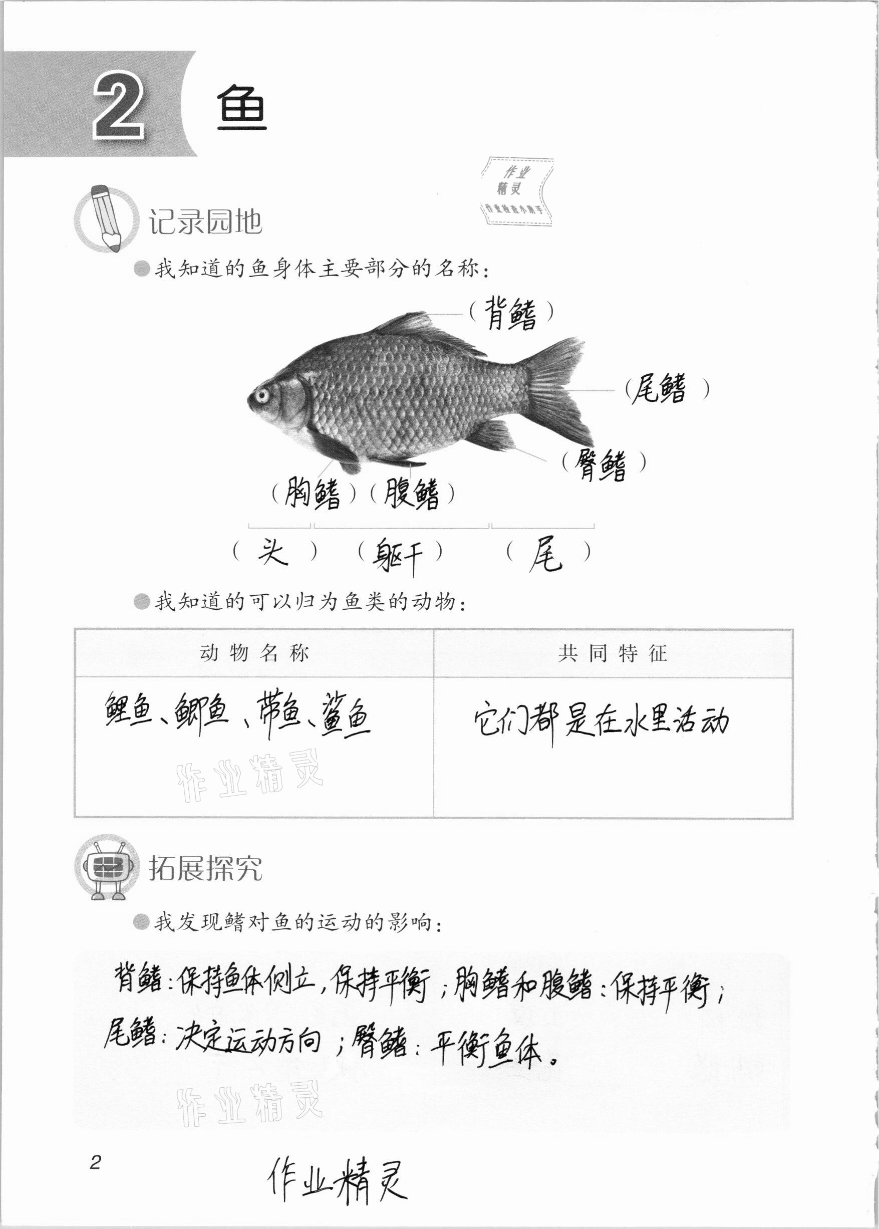 2020年學(xué)生活動(dòng)手冊(cè)四年級(jí)科學(xué)上冊(cè)青島版54制 參考答案第2頁