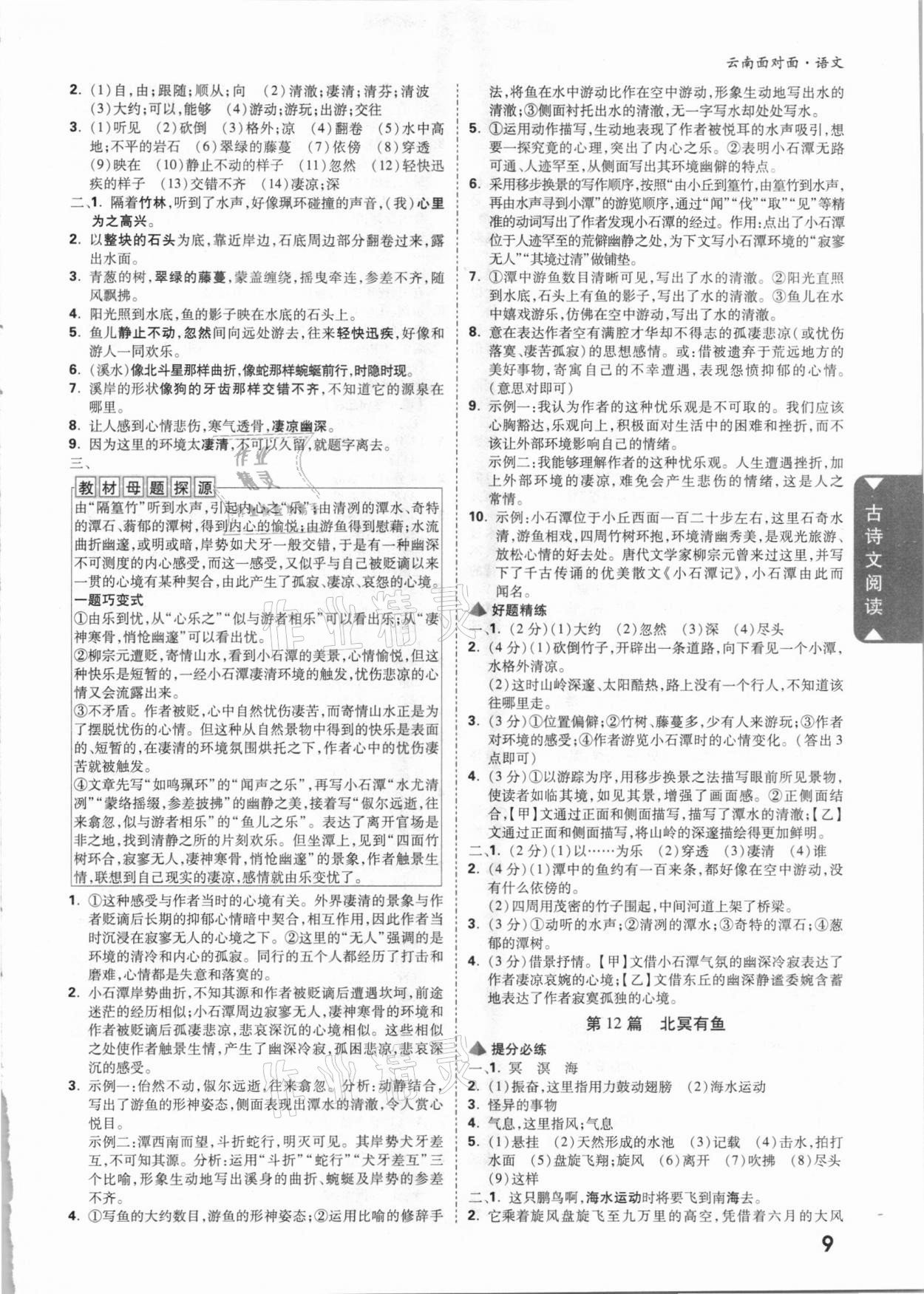 2021年云南中考面對面語文 參考答案第8頁