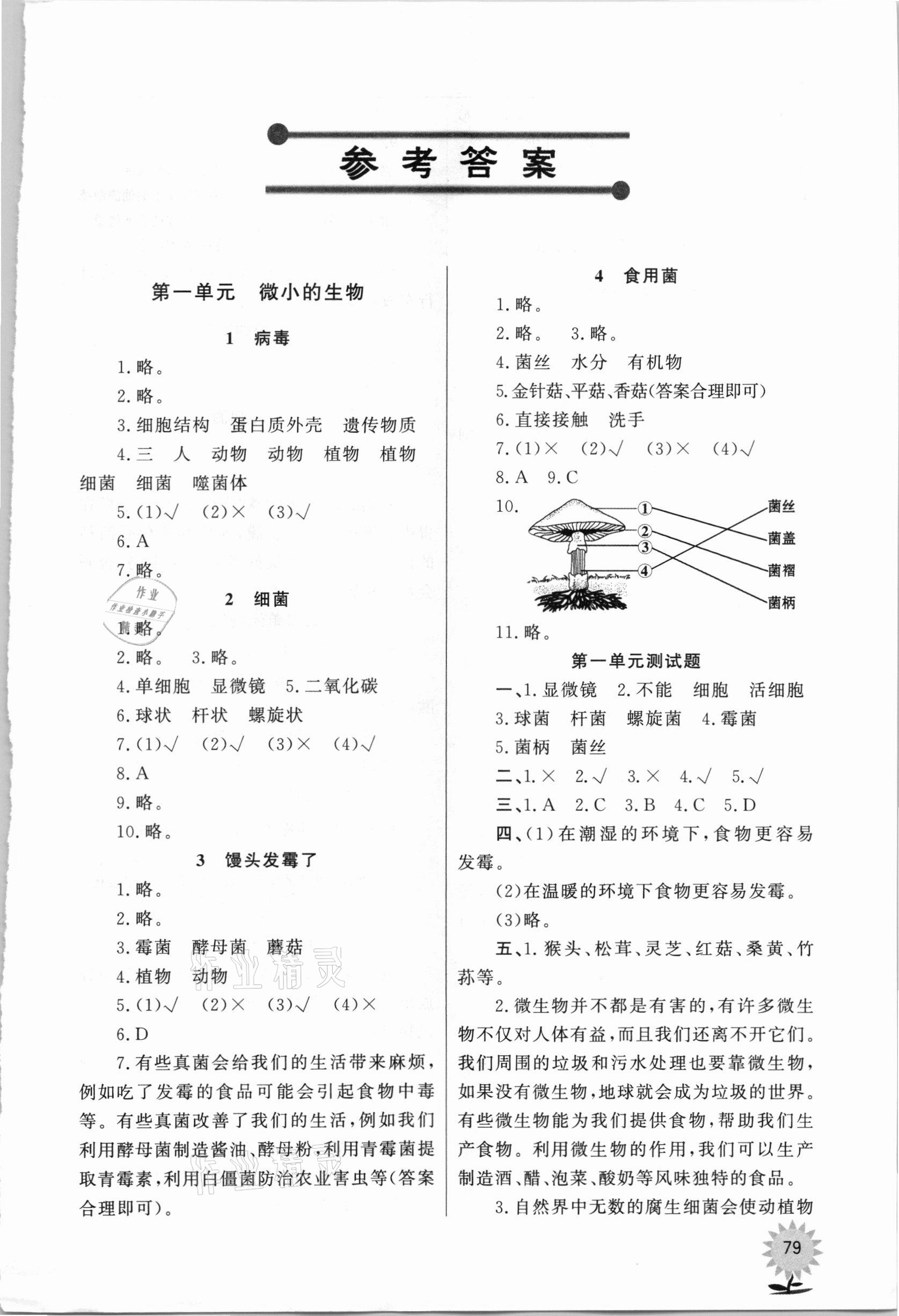 2020年小學科學同步練習六年級上冊青島版山東文藝出版社 第1頁