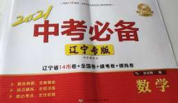 2021年中考必備數(shù)學遼寧專版遼寧師范大學出版社