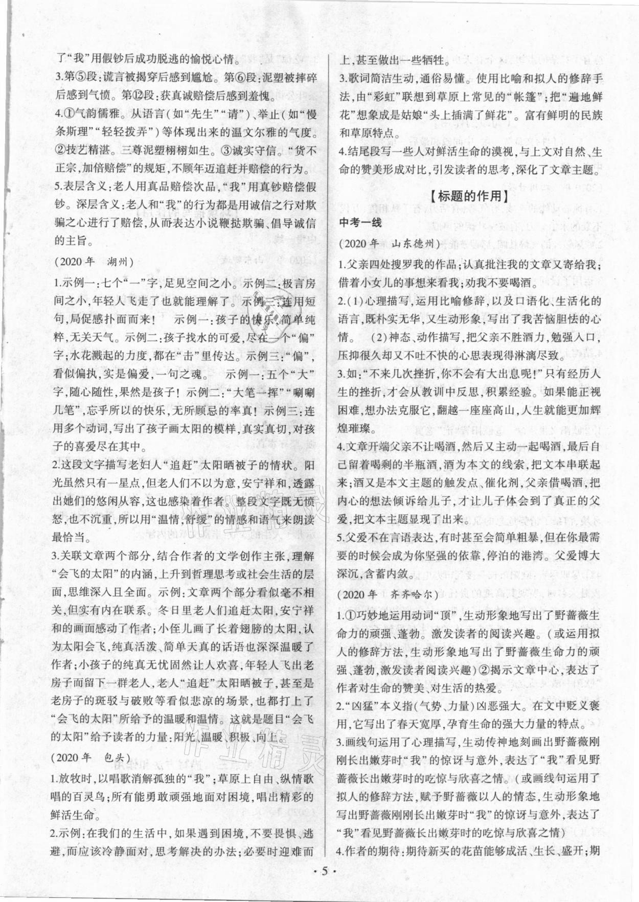 2020年新中考現代文考點閱讀解題模式一本通 第5頁