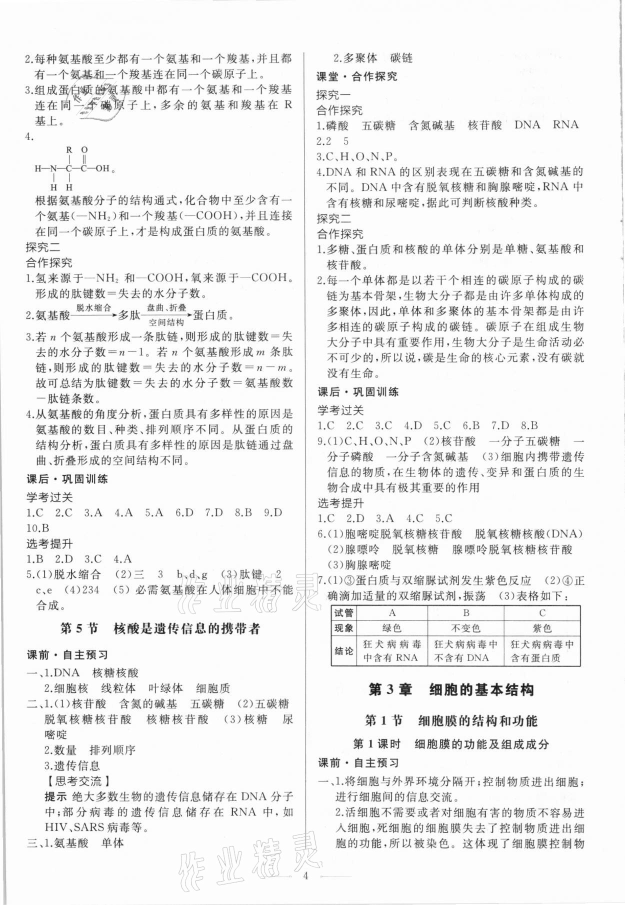 2020年同步練習(xí)冊生物學(xué)必修1分子與細胞人教版人民教育出版社 第4頁