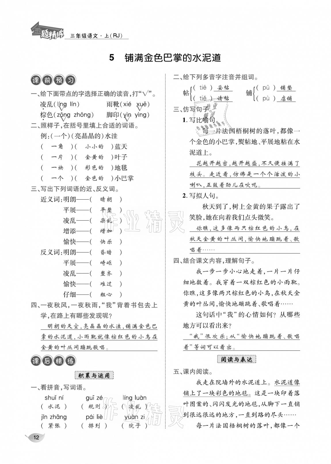 2020年合力語文金題精練三年級語文上冊人教版 參考答案第11頁