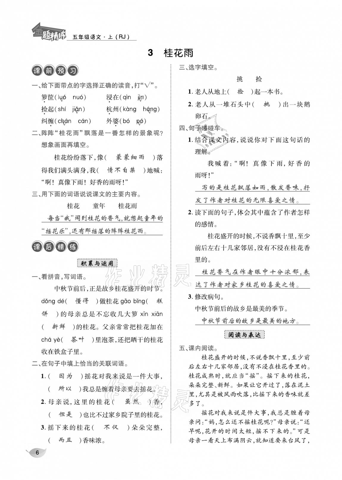 2020年合力語文金題精練五年級(jí)語文上冊(cè)人教版 參考答案第5頁