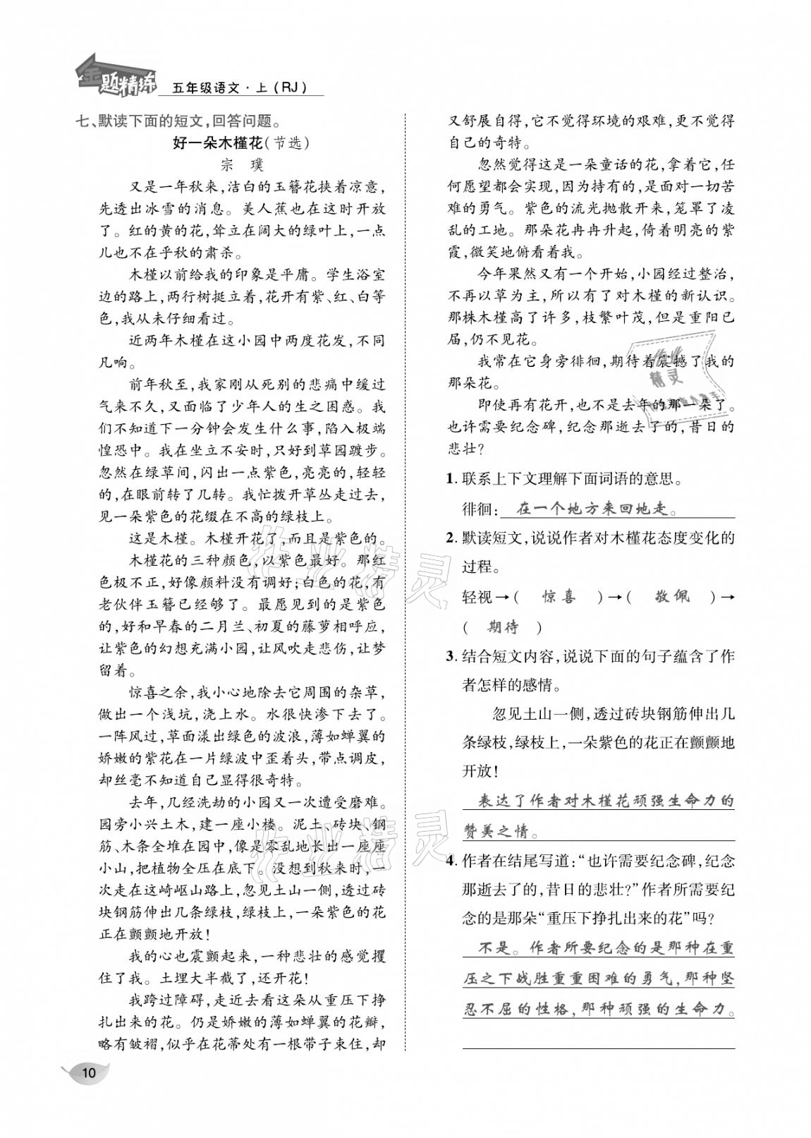 2020年合力語文金題精練五年級(jí)語文上冊(cè)人教版 參考答案第9頁