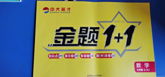 2020年中大英才金題1加1七年級數(shù)學上冊人教版