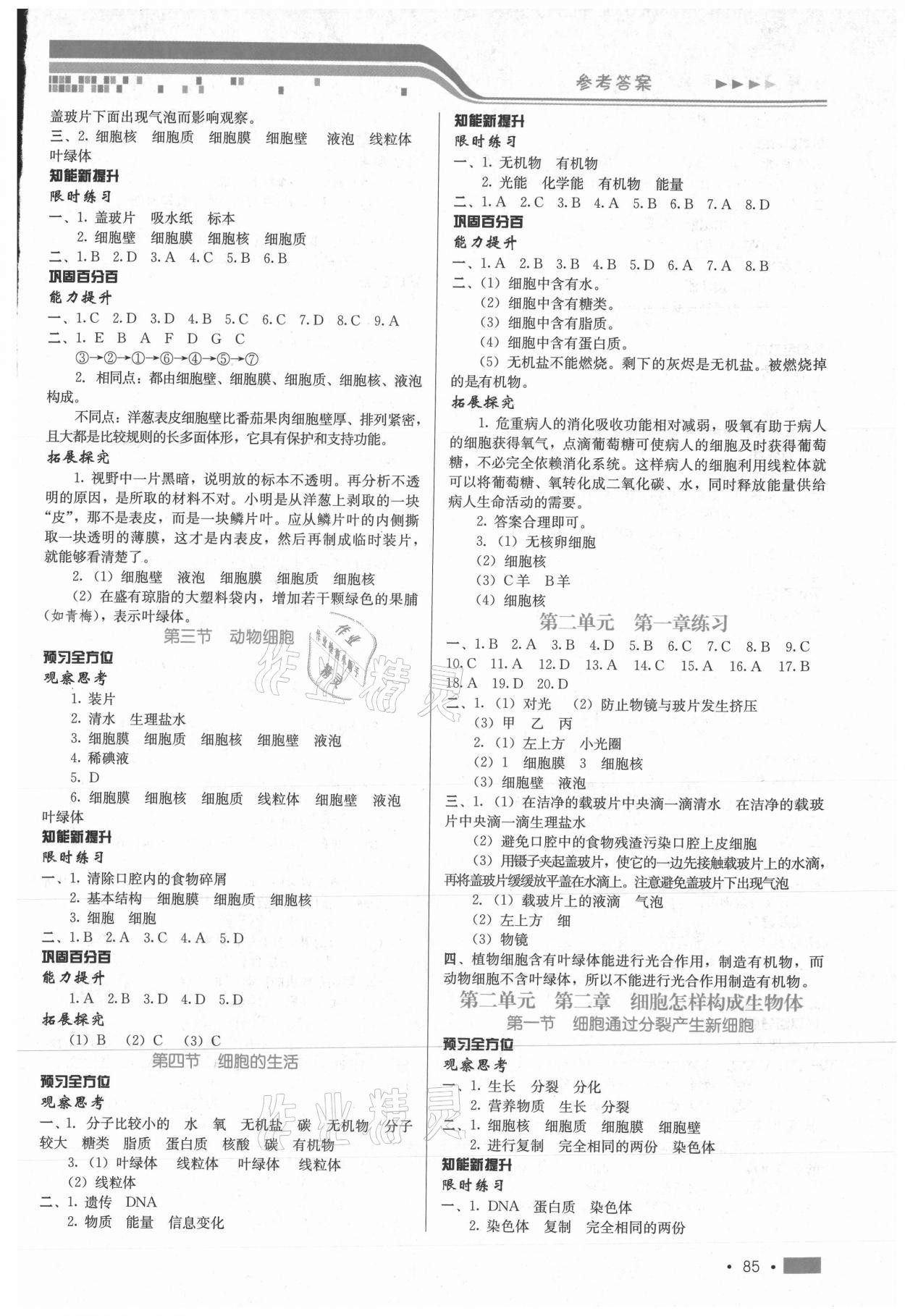 2020年新練習(xí)鞏固方案七年級(jí)生物上冊(cè)人教版 第3頁(yè)