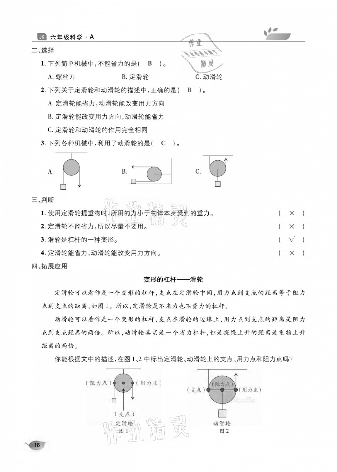 2020年玩轉(zhuǎn)科學(xué)六年級教科版 參考答案第16頁