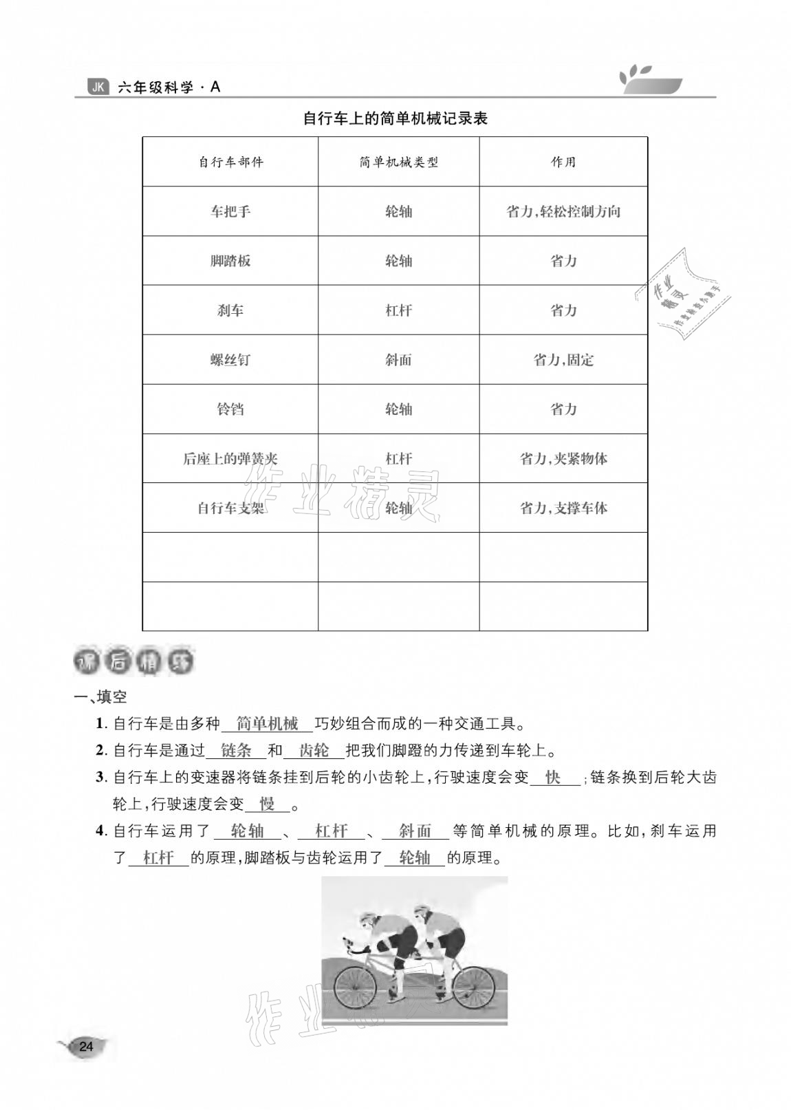 2020年玩轉(zhuǎn)科學(xué)六年級(jí)教科版 參考答案第24頁