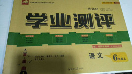 2020年一線調(diào)研學(xué)業(yè)測(cè)評(píng)六年級(jí)語(yǔ)文上冊(cè)人教版