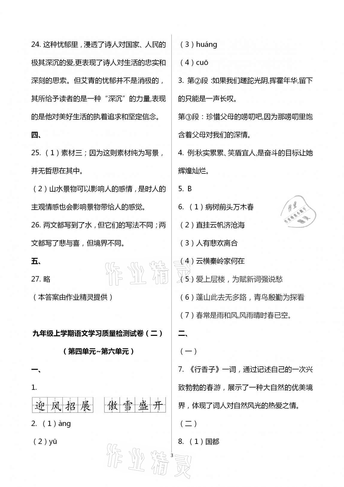 2020年新课程学习质量检测九年级语文全一册人教版 第3页